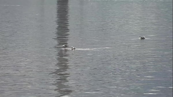 Nelya – Double penetration threesome – Free Trailer